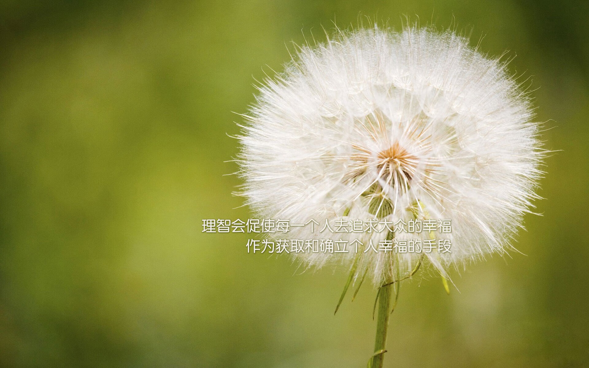 国家女篮备战亚运会蓄势待发，亚运会女子篮球中国队