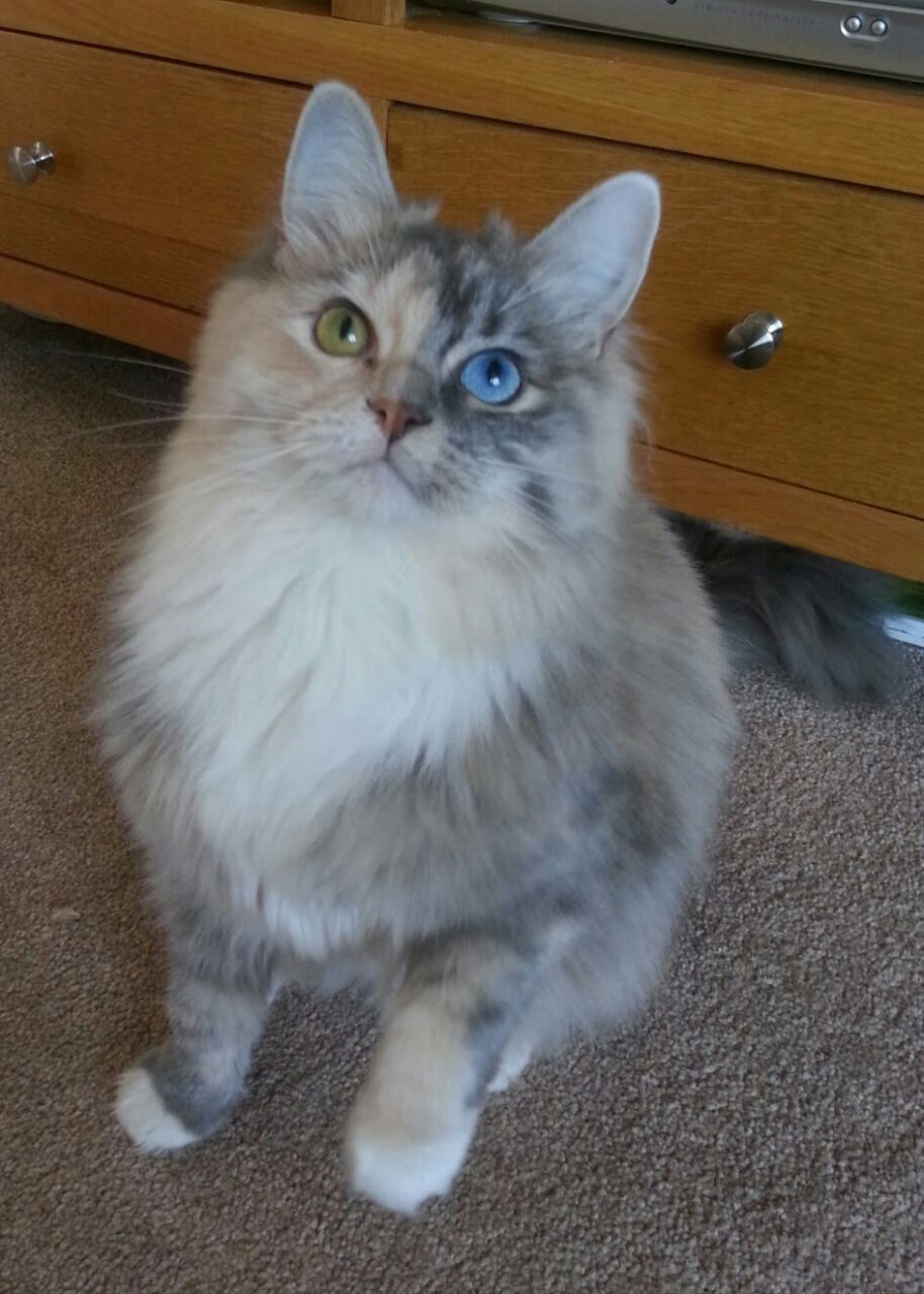 防守节奏是否能限制对方外线命中率，防守人能一直待在三秒区吗