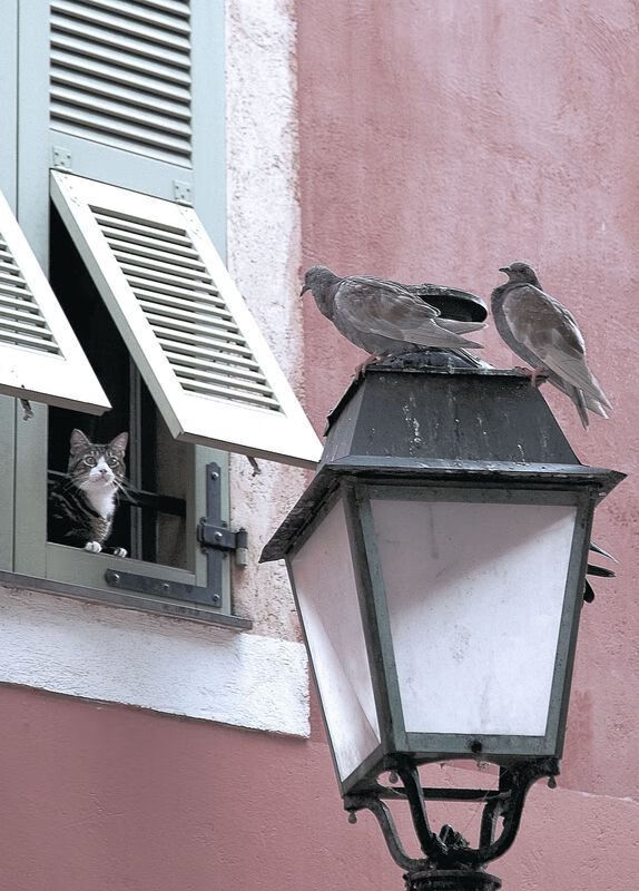 中国足球联赛主客场转场计划优化调整，中国足球联赛主客场转场计划优化调整方案