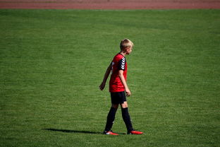 星空娱乐棋牌官网下载-中国足球职业俱乐部球员转会市场活跃度提升，中国足球协会球员身份与转会管理规定